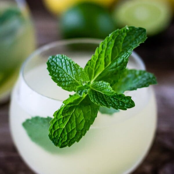A cup of Ginger Iced Tea Recipe garnished with mint
