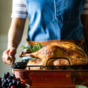 Person is serving turkey from the front view.